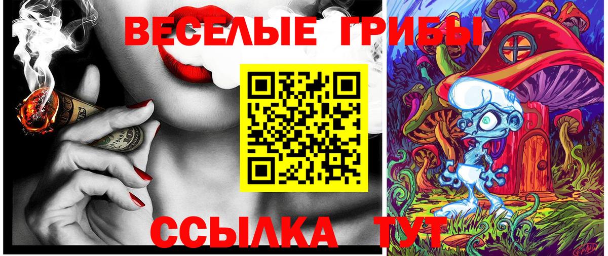 Псилоцибиновые грибы мицелий  цена   Карталы  Вход с VPN  Псилоцибиновые грибы Psilocybine cubensis 