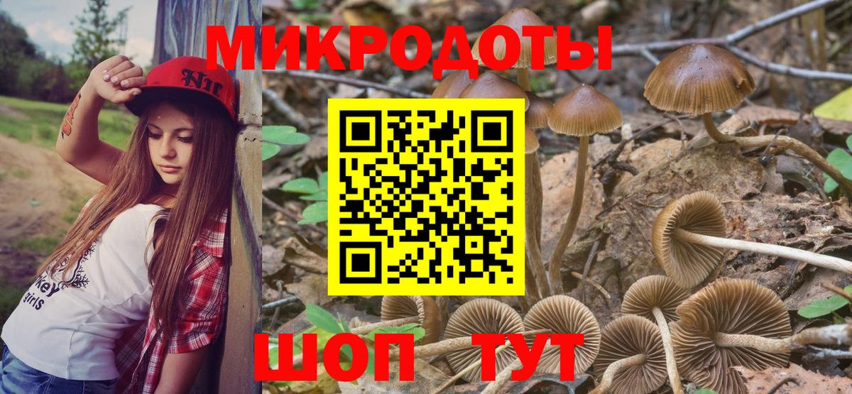 Псилоцибиновые грибы мухоморы Карталы